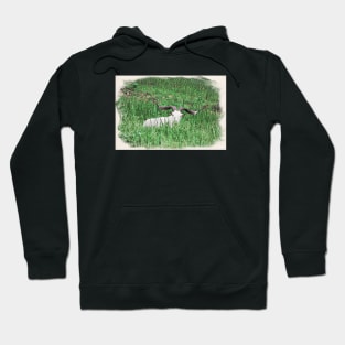 Billy goat Hoodie